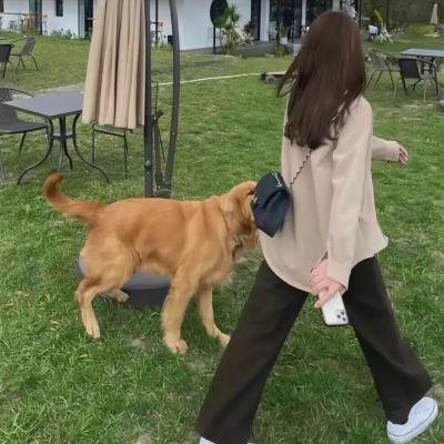 完美房子